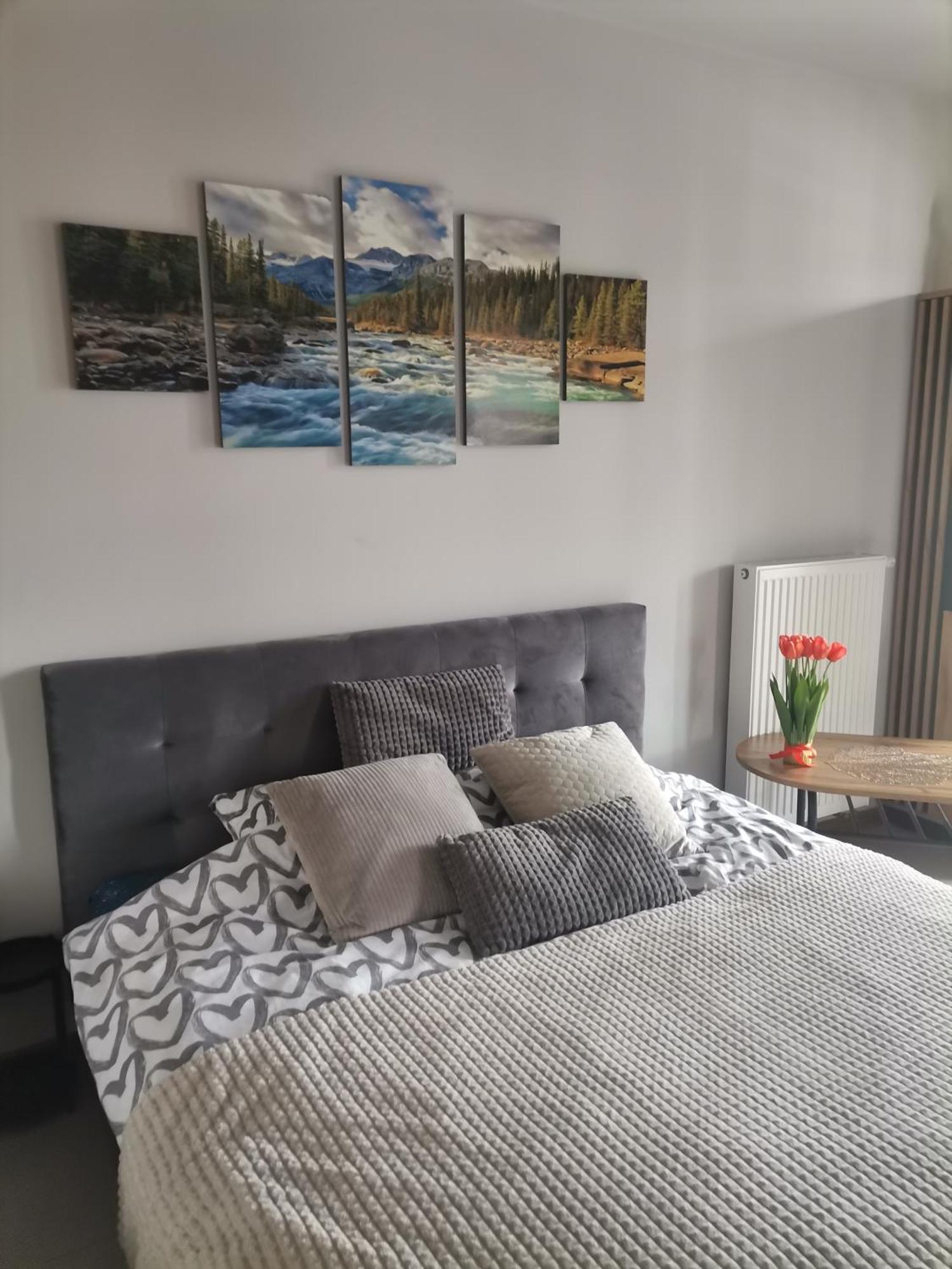 Apartament Gorska Szarotka โนวือตาร์ก ภายนอก รูปภาพ