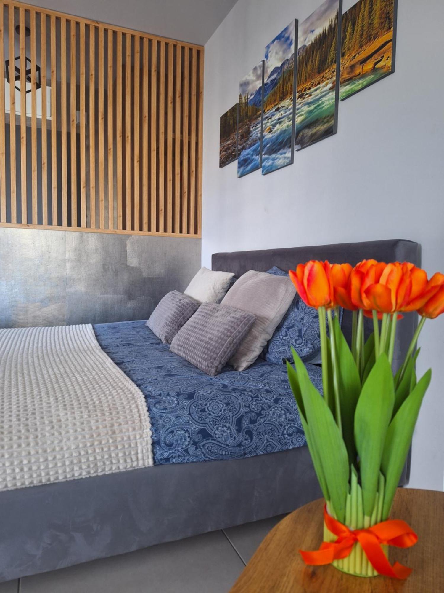 Apartament Gorska Szarotka โนวือตาร์ก ภายนอก รูปภาพ